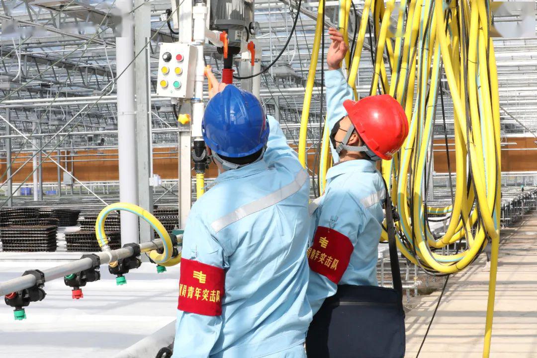 草海機場(chǎng)最新動(dòng)態(tài)揭秘，建設進(jìn)展、航班信息及未來(lái)展望