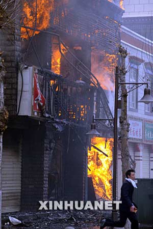 西藏最新事件，雪域高原的溫馨日常觀(guān)察