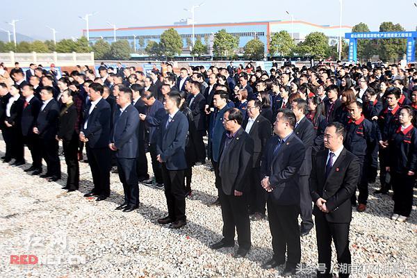 韶山紅網(wǎng)最新動(dòng)態(tài)，觀(guān)點(diǎn)闡述與深度解析