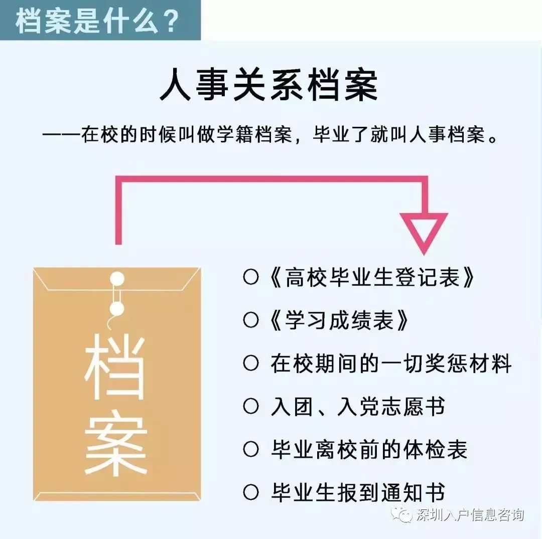 檔案人員補貼最新觀(guān)點(diǎn)論述，探討補貼政策與檔案人員發(fā)展的關(guān)系