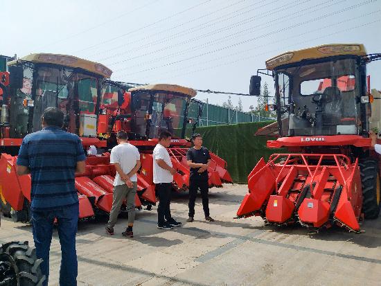 邳州玉米最新價(jià)格，時(shí)代見(jiàn)證下的市場(chǎng)動(dòng)態(tài)