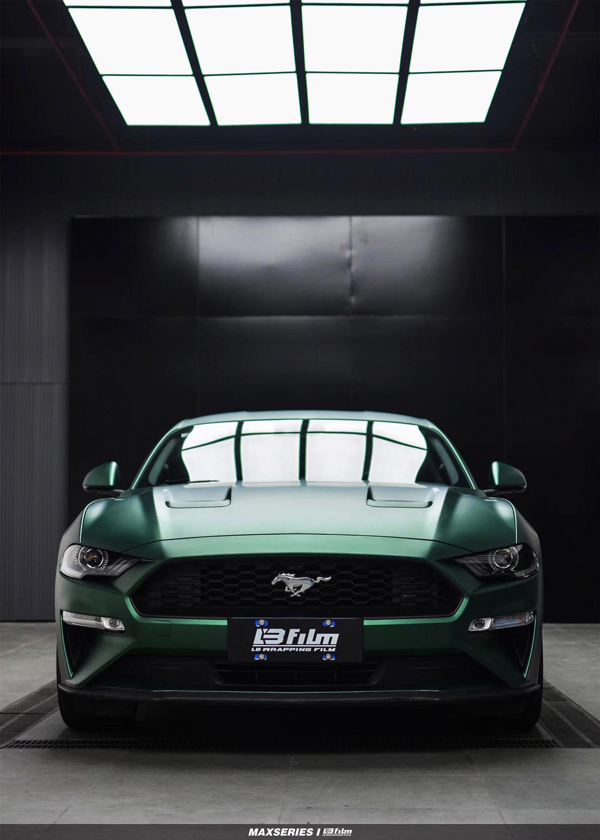 最新野馬汽車(chē)，技術(shù)革新與市場(chǎng)競爭的展現