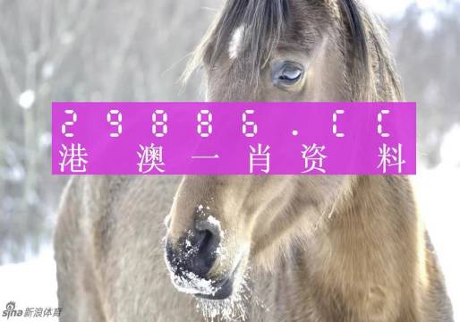 澳門(mén)精準一笑一碼100,快速問(wèn)題處理_VDQ10.912拍照版