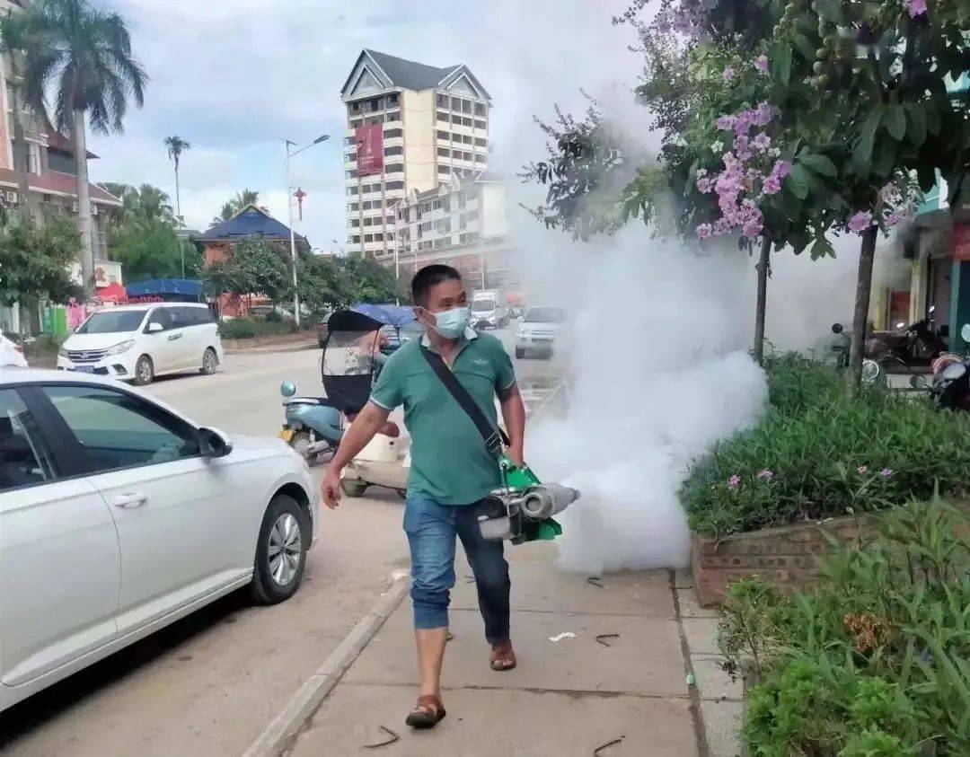 景洪登革熱最新疫情動(dòng)態(tài)，挑戰與自信之光的博弈