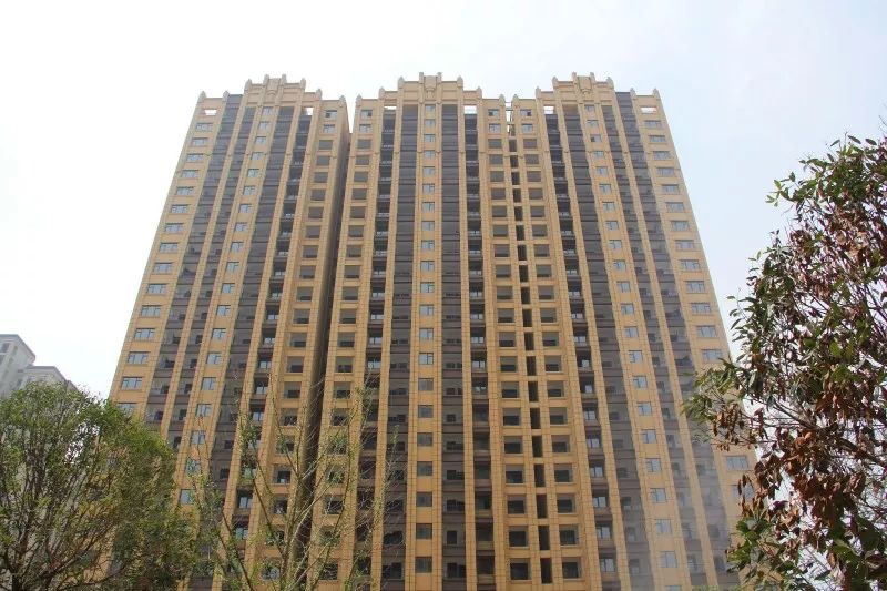 紫荊城邦最新動(dòng)態(tài)，揭開(kāi)未來(lái)生活新篇章的序幕