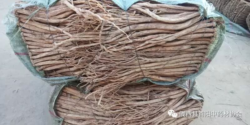 渭源黨參干貨最新價(jià)格及獲取指南，了解黨參干貨價(jià)格走勢與行情分析