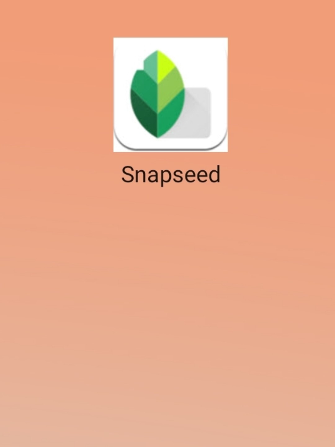 最新snapseed中文版，科技重塑影像，讓生活因攝影更精彩
