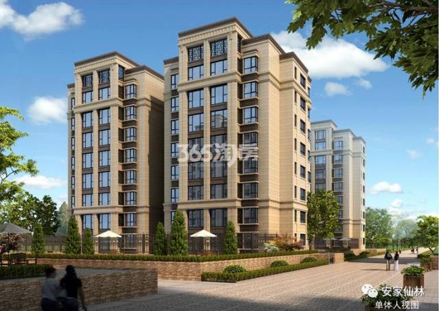 銀城東岳府最新動(dòng)態(tài)分析揭秘，最新消息與進(jìn)展