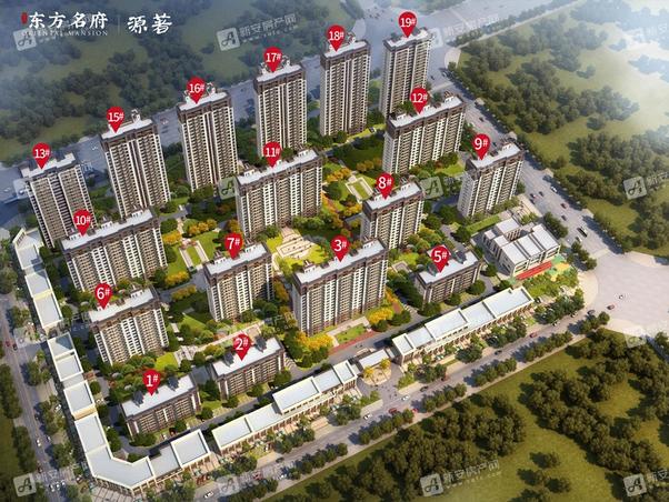 明光東郡最新動(dòng)態(tài)，友情的綻放與家的溫馨日常