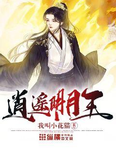 時(shí)代之光下的璀璨篇章，明月珰最新連載熱議熱議熱議！