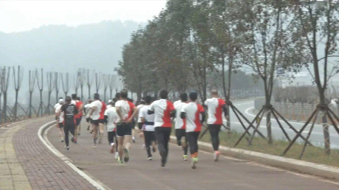 古田環(huán)湖路最新動(dòng)態(tài)揭秘，時(shí)代脈搏與城市發(fā)展的融合之路