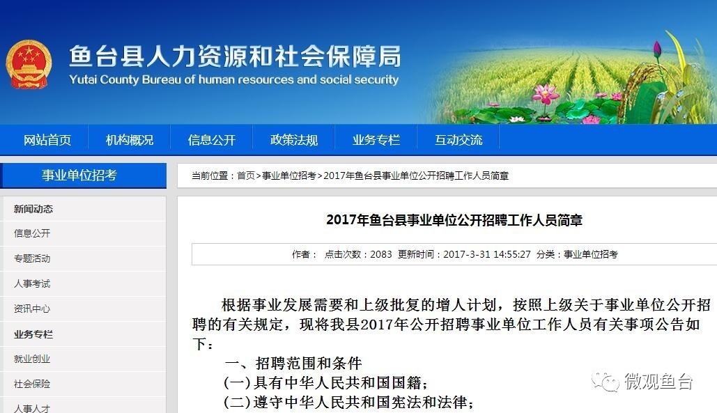 魚(yú)臺最新招聘信息大全，求職步驟指南與招聘信息更新速遞