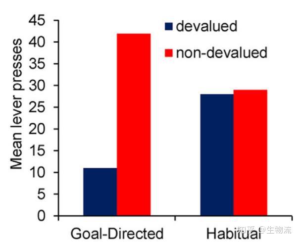 精準一碼免費公開(kāi)澳門(mén),數據導向計劃_EPE83.694習慣版
