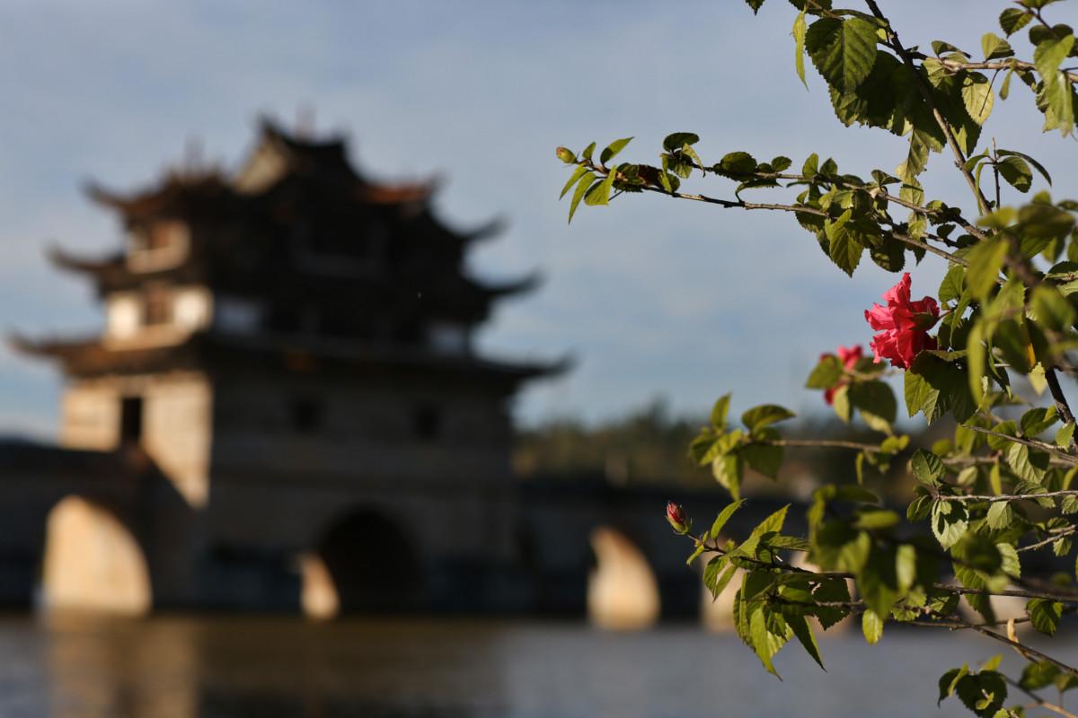 大冰最新力作，智能生活新紀元——科技與生活的完美融合