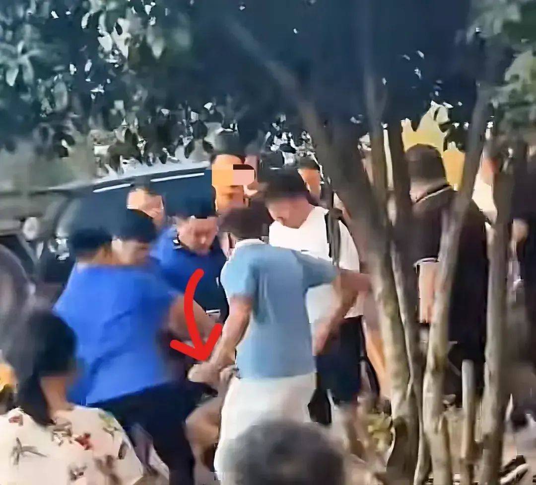 一打假博主團隊遭商戶(hù)圍毆,農林經(jīng)濟管理_CNC9.631內容版