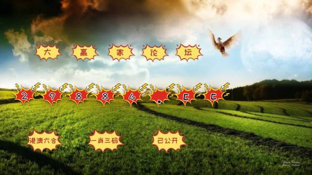 澳門(mén)六臺彩www9488com,穩固執行戰略分析_家居版51.421