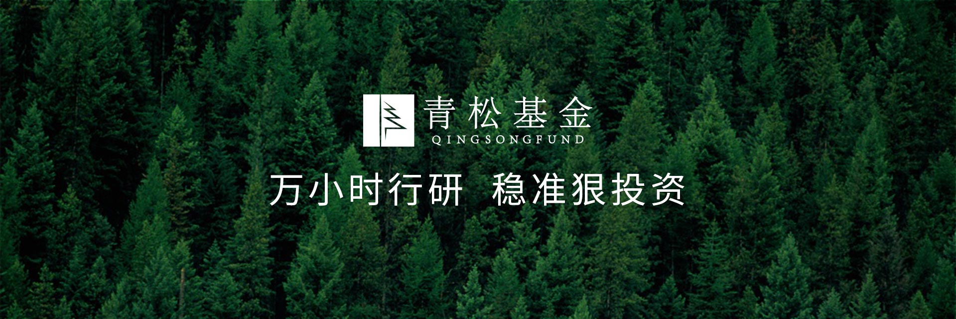 長(cháng)青樹(shù)眾籌最新動(dòng)態(tài)，背景、發(fā)展與時(shí)代地位探索