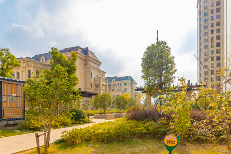 塞納藍灣二期最新動(dòng)態(tài)，變化中的學(xué)習之旅，自信與成就感的源泉啟航