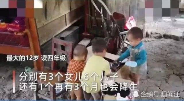 廣西最新預情，自然美景探索之旅，喚醒內心平靜之旅