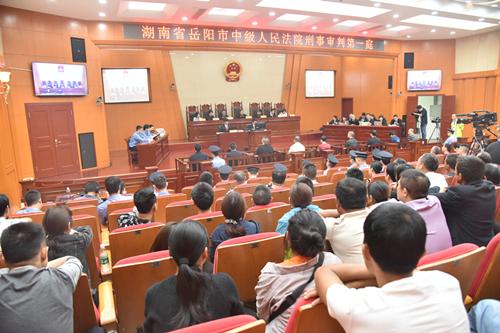 聶祖峰最新探索之旅，自然美景中的心靈尋覓與平和之境