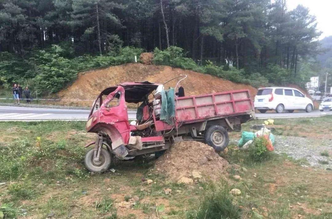 平山事故背后的溫馨故事，友情、愛(ài)與陪伴的奇遇