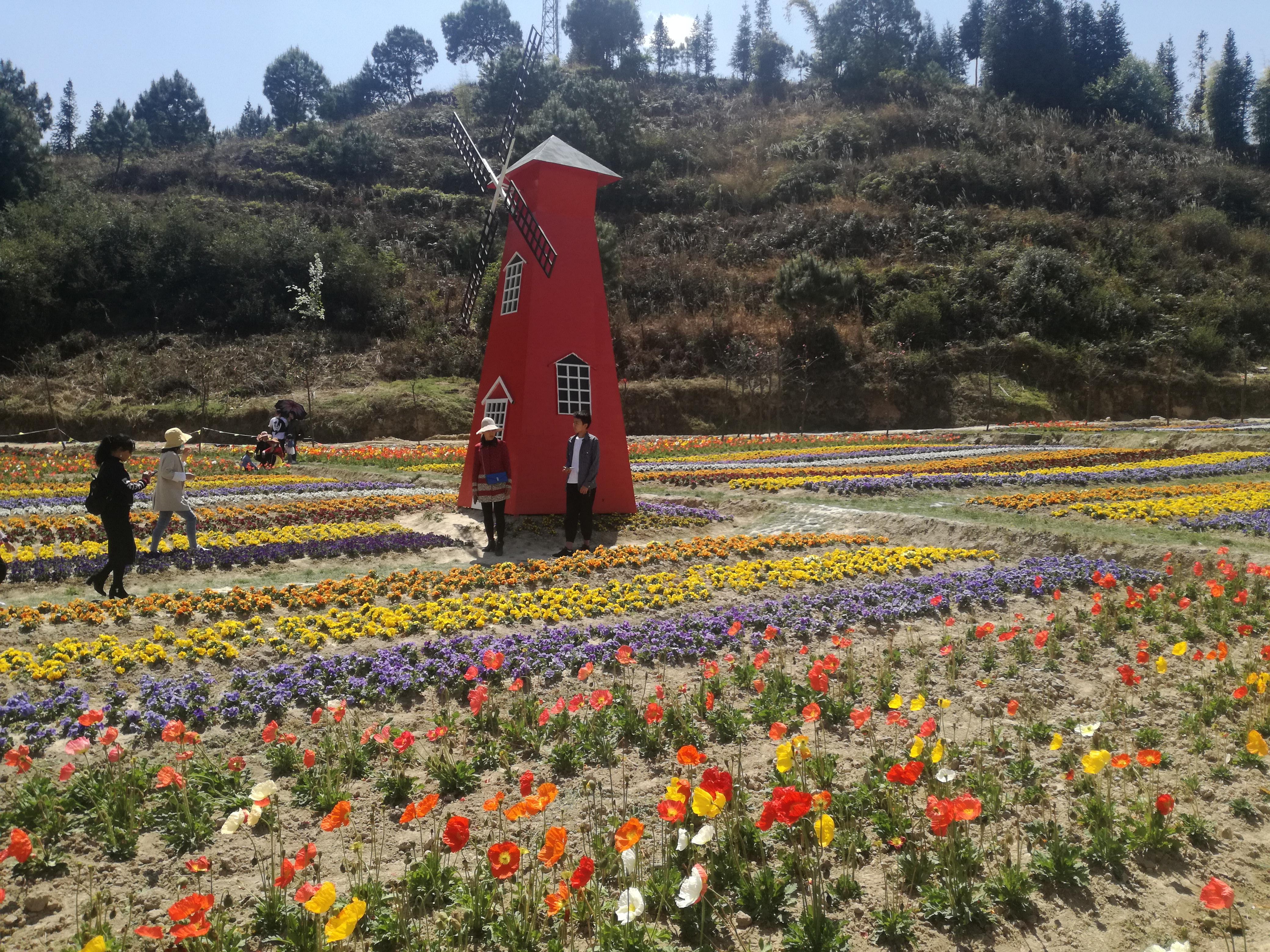 臨滄市最新探索，自然美景之旅，尋找內心平和的旅程