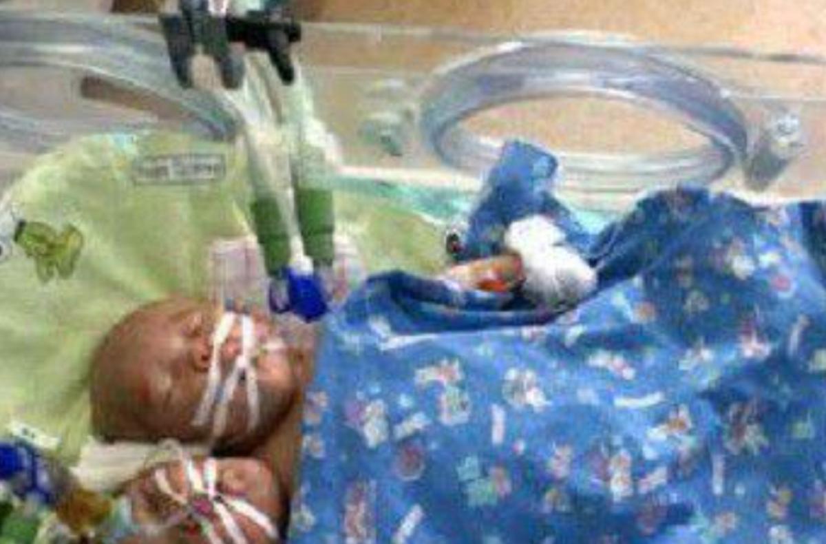 雙頭姐妹，時(shí)代背景下的傳奇故事最新進(jìn)展