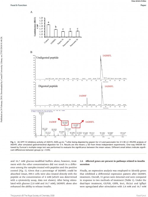 糖肽最新文獻，自然之旅的心靈探尋之旅，尋找內心的寧靜