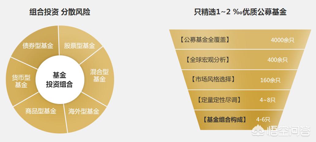 深度解析，今年養雞產(chǎn)業(yè)趨勢與前景展望