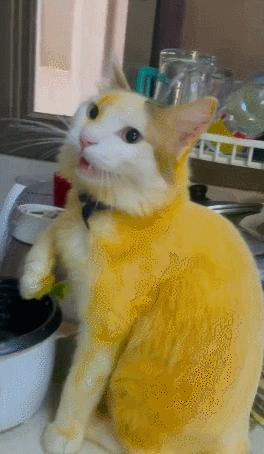 男友最新動(dòng)態(tài)，科技巔峰之作，引領(lǐng)未來(lái)生活新紀元風(fēng)潮