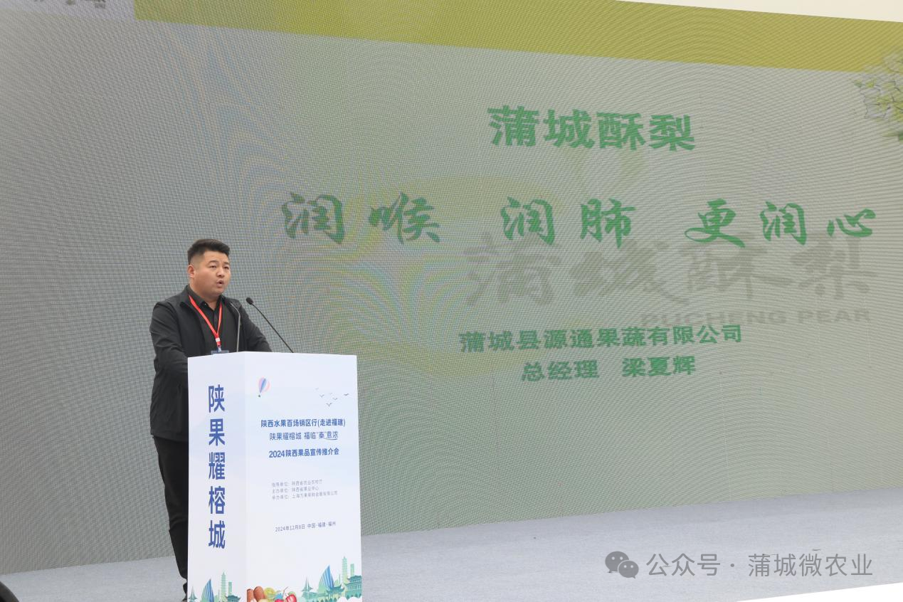 梨城資訊速遞，探索梨城新動(dòng)態(tài)與發(fā)展趨勢