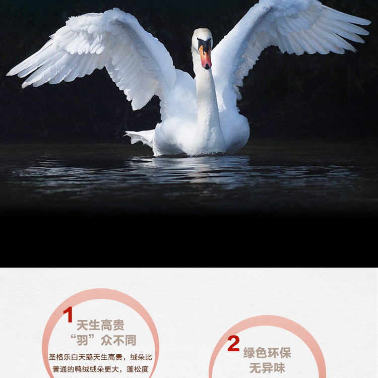 探索小巷羽絨寶藏，90白鵝絨價(jià)格與溫暖故事