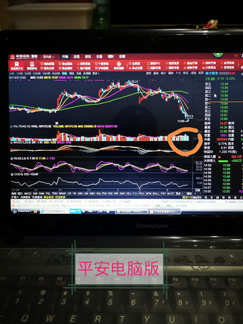 股票電腦版，開(kāi)啟溫馨的股市之旅