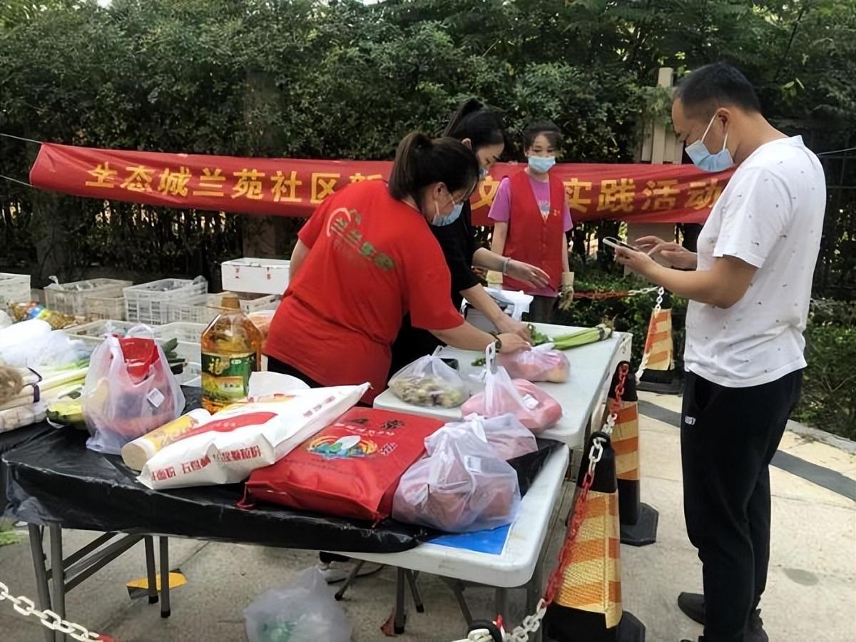 保利華潤紫云價(jià)格深度解析，探尋背后的故事與地位影響