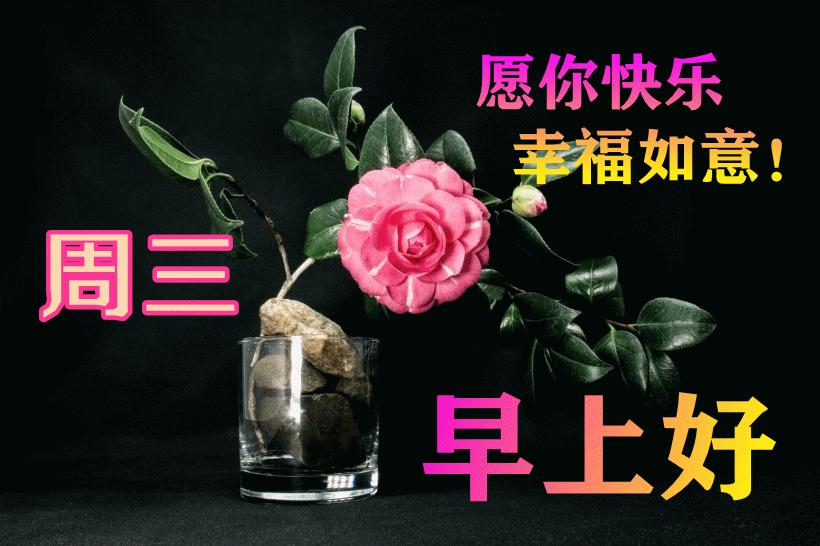 最新早晨問(wèn)候動(dòng)態(tài)表情包，溫馨問(wèn)候，從表情開(kāi)始！