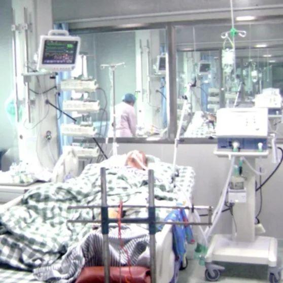 廣東人才招聘信息啟航，探索自然美景，尋覓內心寧靜之旅