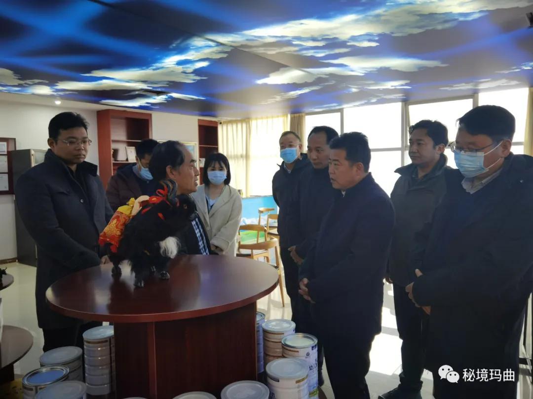 高原之寶上市，學(xué)習、蛻變與自信的輝煌之旅