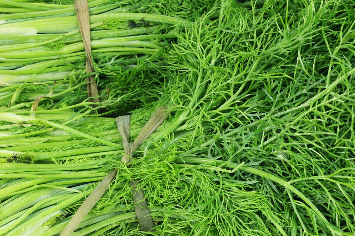 茴香價(jià)格動(dòng)態(tài)，香氣變化與你的關(guān)聯(lián)