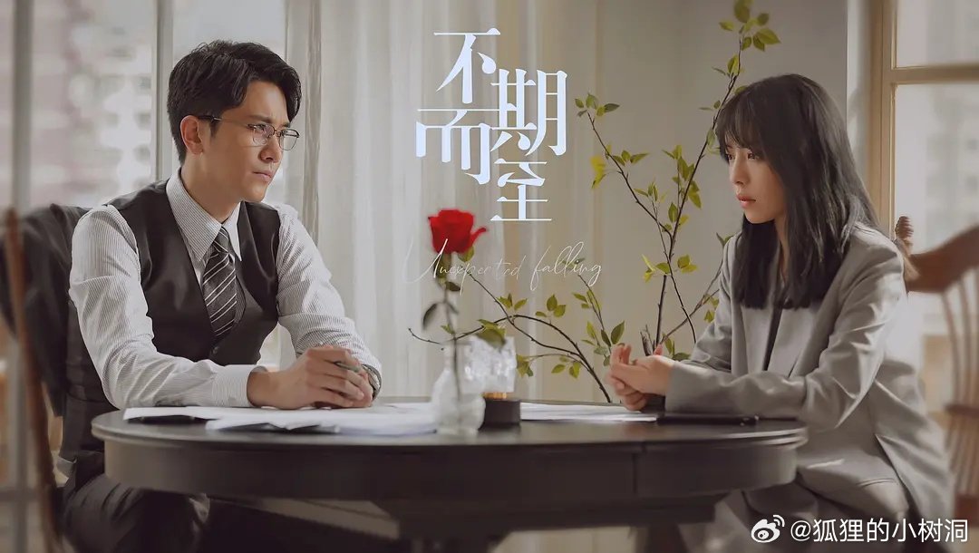 不期而至電視劇，從入門(mén)到進(jìn)階的觀(guān)看指南