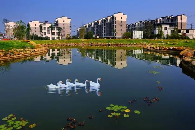 萍鄉安源湖，最新動(dòng)態(tài)揭示湖畔變革與自我超越之旅