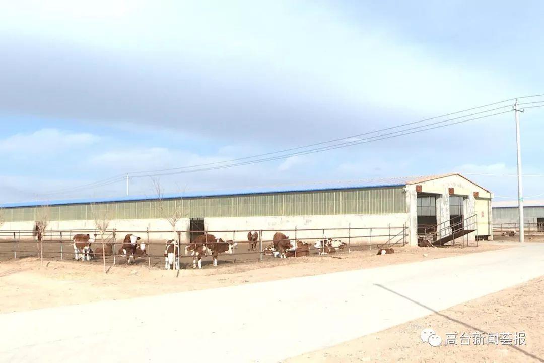 最新養殖場(chǎng)建設政策解讀，探索之旅啟程