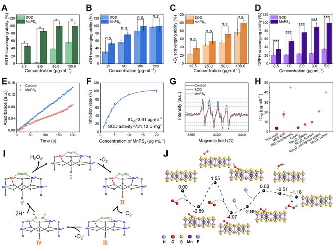 頭發(fā)再生研究新動(dòng)態(tài),頭發(fā)再生研究新動(dòng)態(tài)，小巷深處的秘密秀發(fā)實(shí)驗室