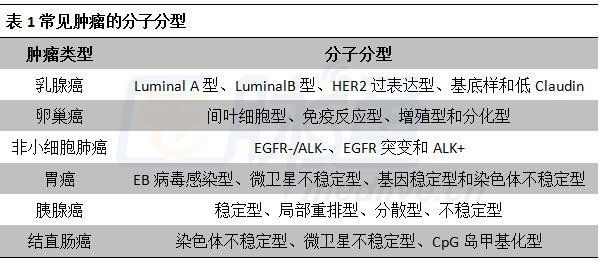 最新乳腺分類(lèi)科技產(chǎn)品介紹，引領(lǐng)乳腺健康新篇章