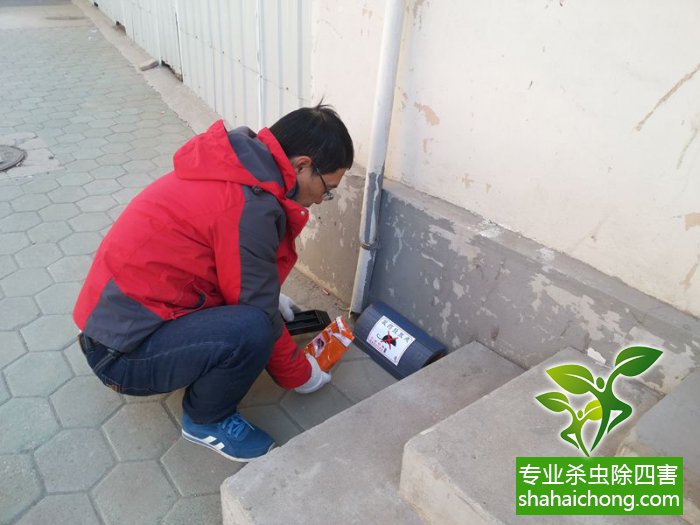 最新滅鼠技術(shù)的觀(guān)點(diǎn)論述與立場(chǎng)闡述，創(chuàng  )新方法的探索與挑戰