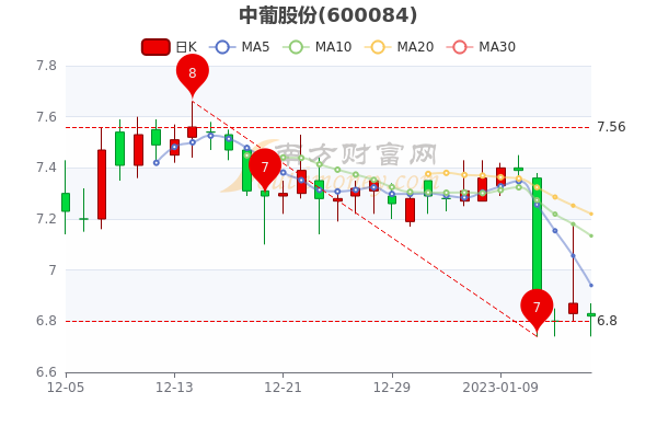 中葡股份股票行情深度分析與展望，未來(lái)走勢展望及行業(yè)前景預測。