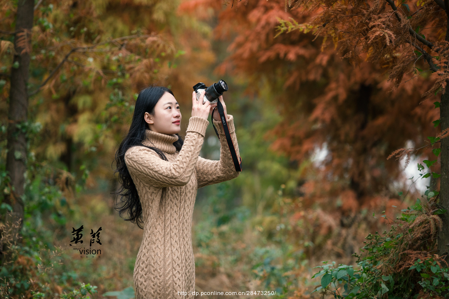 伊人在線(xiàn)電影，探索現代網(wǎng)絡(luò )影視的新境界
