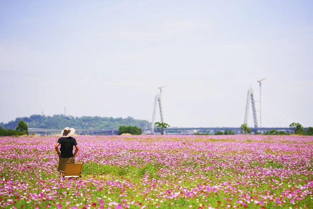 陳小北聚焦科技前沿，引領(lǐng)創(chuàng  )新潮流新動(dòng)態(tài)
