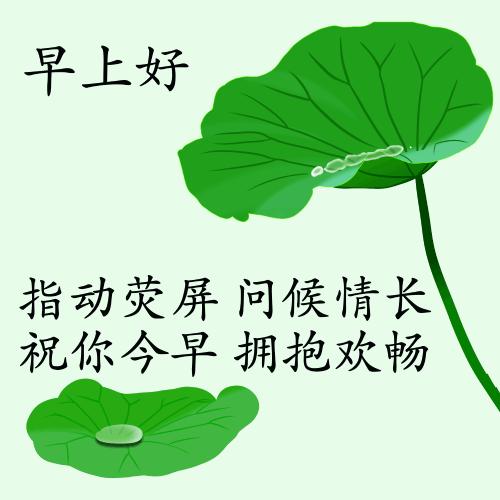 最新疫情動(dòng)態(tài)下的自然探索之旅，追尋內心的平和與寧靜