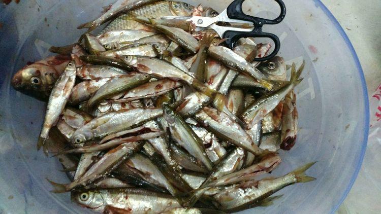 昆明最新野釣地點(diǎn)探索，重拾生活激情與自信的自然之旅