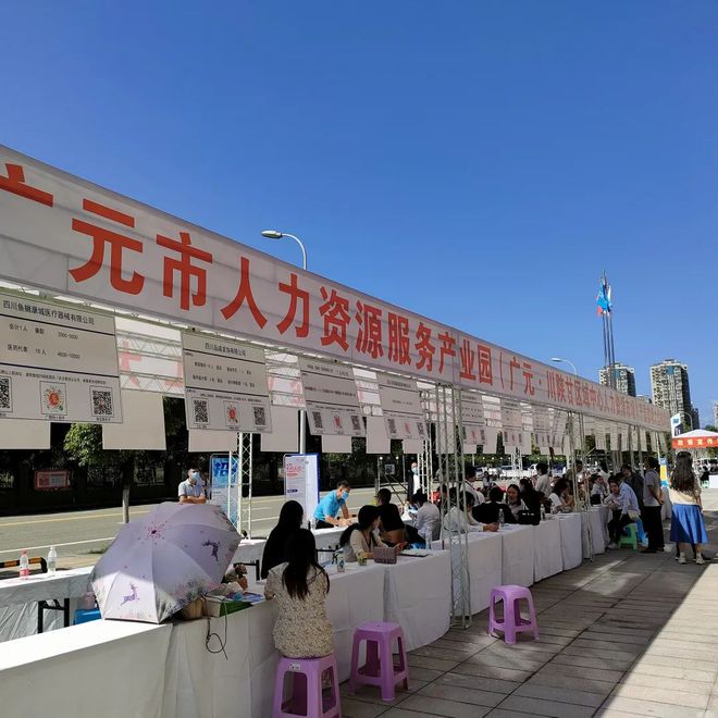 廣元最新招聘資訊詳解，觀(guān)點(diǎn)闡述與解析